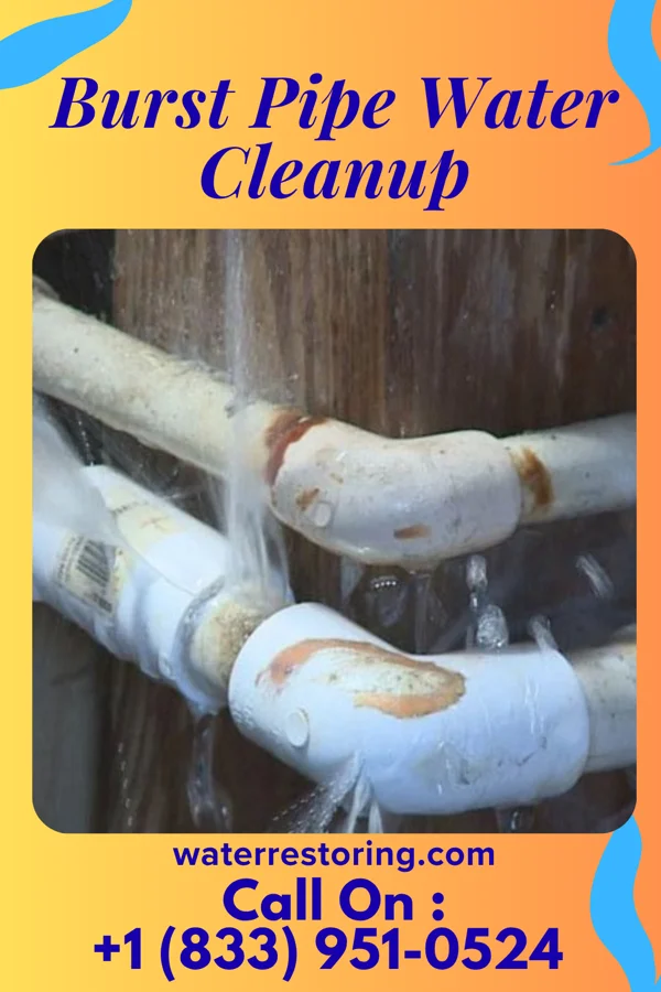 Burst Pipe Water Cleanup in Port Colden, NJ