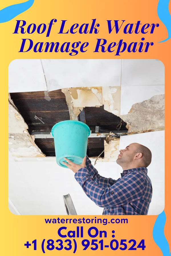 Roof Leak Water Damage Repair in Port Colden, NJ