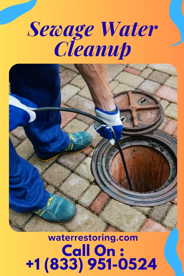 Sewage Water Cleanup in Port Colden, NJ