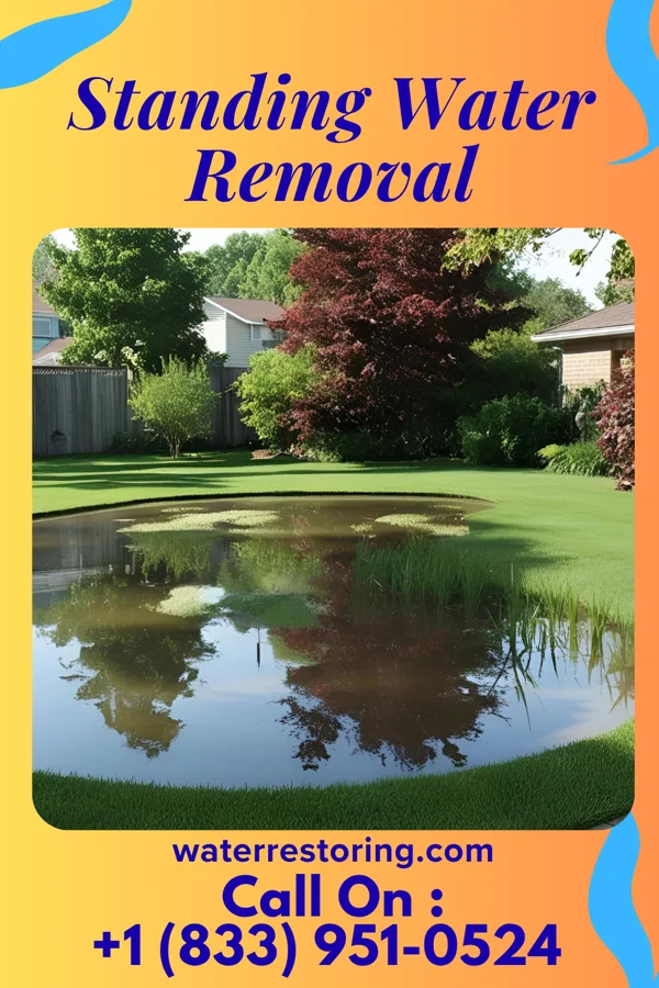 Standing Water Removal in Port Colden, NJ